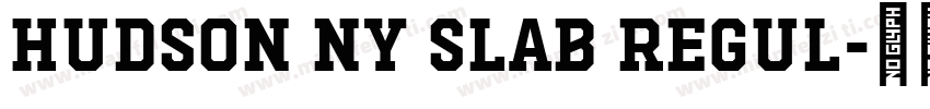 Hudson NY Slab Regul字体转换